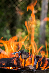 Fire burning in a barbecue close-up.