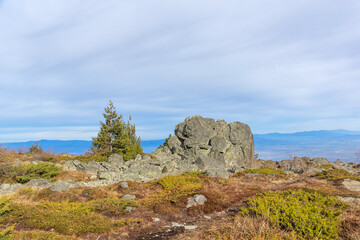 Landscape of Vitosha Mountain near Kamen Del peak, Bulgaria