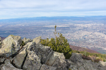 Fototapeta premium Landscape of Vitosha Mountain near Kamen Del peak, Bulgaria