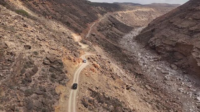 Aerial view of driving cars in dry valley in the island of Socotra. Motion drone video of moving cars on bumpy road surrounded by stones and dessert plants. Following cars from the air. Off-road drive