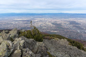 Fototapeta premium Landscape of Vitosha Mountain near Kamen Del peak, Bulgaria