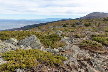 Landscape of Vitosha Mountain near Kamen Del peak, Bulgaria