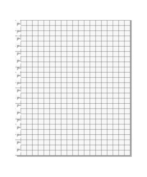 Torn sheet of lined paper with grid lines
