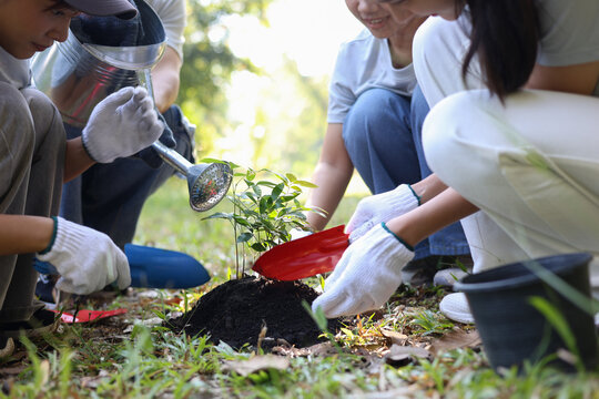 Young adults volunteer planting trees in the park for environmental conservation and sustainable future. Community service, reforestation, nature care and teamwork concept. - Powered by Adobe