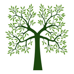 Green Tree of Life. Vector outline Illustration. Plant in Garden.