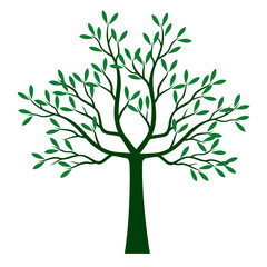 Green Tree with Leave. Vector outline Illustration. Plant in Garden.