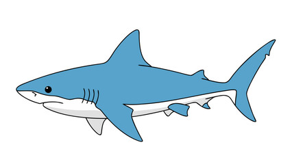 Obraz premium Blue Shark Illustration Against Black Background Powerful Marine Predator With Sharp Fins And Teeth Ocean Wildlife Aquatic Animal Under The Sea