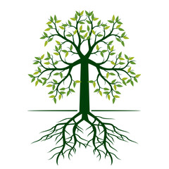 Green Tree with Leaves and Roots. Vector outline Illustration. Plant in Garden.