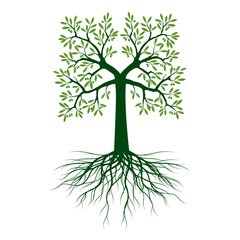 Green Tree with Leaves and Roots. Vector outline Illustration. Plant in Garden.