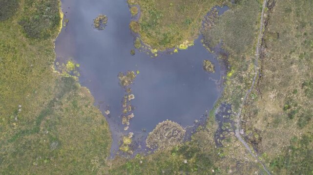Scenic Colombian Paramo Lake Landscape. High quality 4k footage