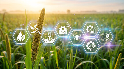 Stunning digital agriculture icons overlay vibrant millet field at sunrise signaling smart farming growth