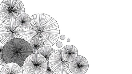 Artistic black and white abstract design featuring radiating circular shapes against a clean white backdrop
