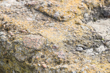 Texture of stone with moss as background, closeup