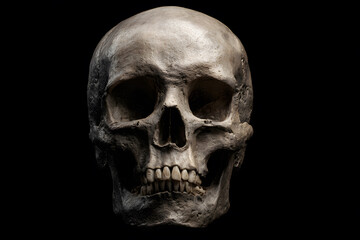 Fototapeta premium Detailed view of a human skull against a dark background showcasing skeletal features and dental structure
