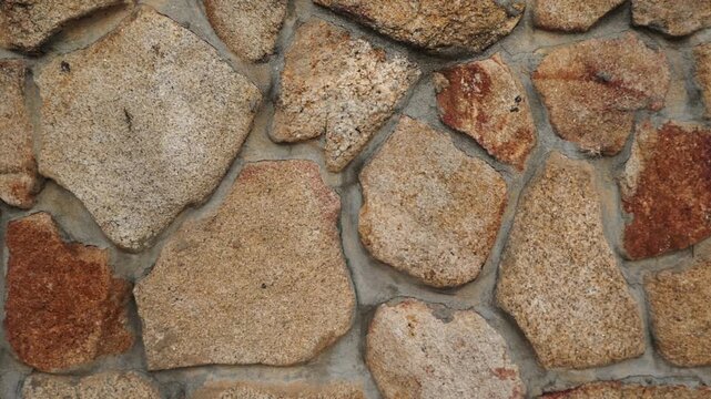 Close-up video of worn concrete road showing fine cracks and small moss patches growing naturally in the crevices, textured and weathered.