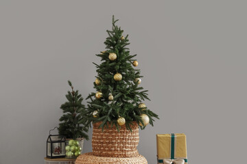 Christmas trees with gift near grey wall in room