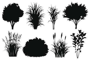 Collection of diverse black tree and plant silhouettes for landscape design © royaldudegfx