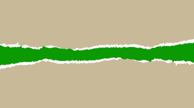 Torn Paper Transitions animation. torn paper 4k