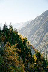 Scenic mountain view with autumn forest on Transfagarasan Highway in Romania