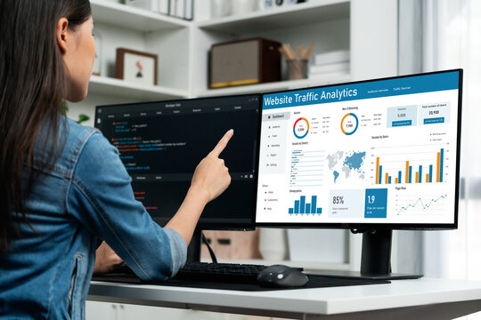 Computer software for website traffic analytics data on computer screen. Concept of SEO search engine optimization and customer targeting for online business brisk - Powered by Adobe