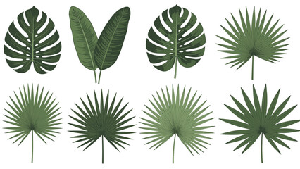 Tropical Leaves Collection - Monstera Banana and Palm Leaf Set © Nana