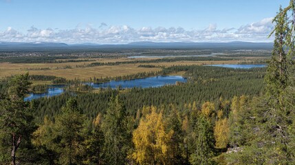 Fototapeta premium Panoramic view of a vast boreal forest landscape with lakes and wetlands.