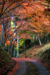 Raigoin Temple in Kyoto, Japan in late autumn