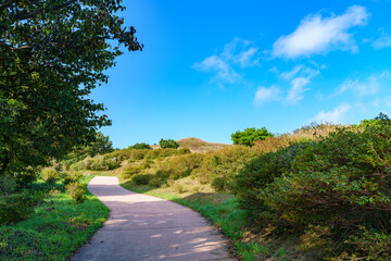 Autumn landscape of Hwangmaesan Provincial Park, Hapcheon, South Korea, with a vast field of eulalia (silver grass)