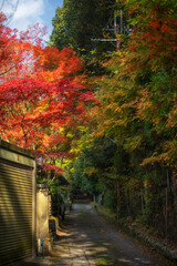 Naklejka premium Sekizan Zen-in, Kyoto, Japan in late autumn