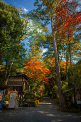 Naklejka premium Sekizan Zen-in, Kyoto, Japan in late autumn