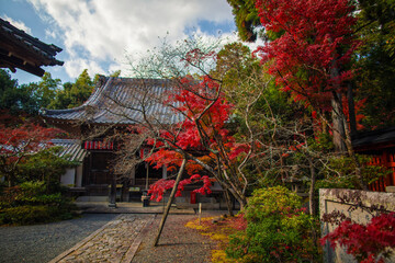 Fototapeta premium Sekizan Zen-in, Kyoto, Japan in late autumn