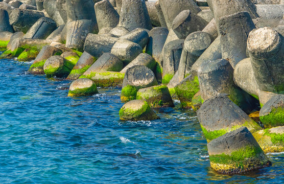 Close-up of a breakwater constructed from numerous concrete dolos blocks, with bright green moss covering the lower section in blue water