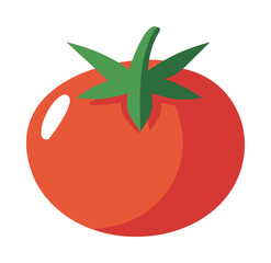 Tomato vector flat style illustration with green leaves and white background — stock vector