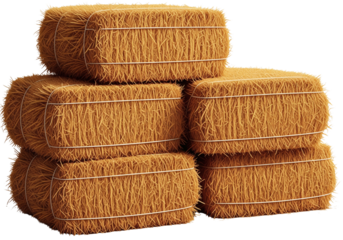 Stacked hay bales, ready for harvest, evoking a sense of rural life and agricultural abundance