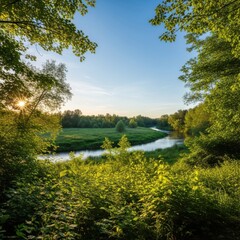 Serene Green River Landscape Scene with Bright Sunlight and Lush Trees During Daytime