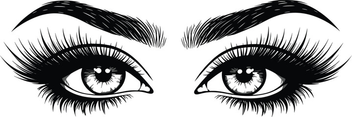 Beautiful female eyes with long eyelashes, detailed makeup illustration for beauty, cosmetics, fashion design, eyeliner art, glamorous vector drawing