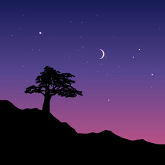 night landscape with tree