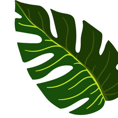 Tropical leaves