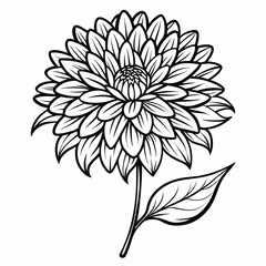 vector illustration of black and white flower