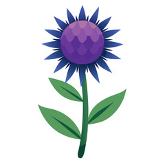 vector illustration of a globe thistles flower on white