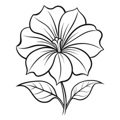 petunia flower line art on white background