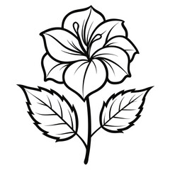  rose of sharon flower line art on white background