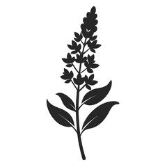 black and white russian sage flower silhouette 