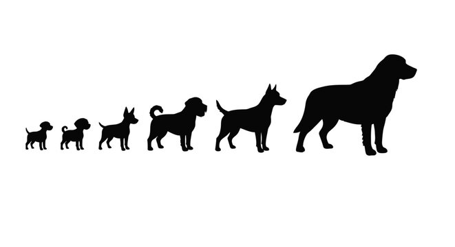 A row of black dog silhouettes illustrating different sizes and breeds, isolated on a clean white background, perfect for pet-related design concepts.