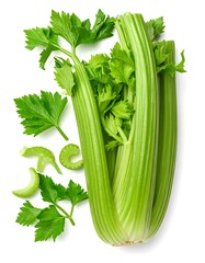 Bright green celery stalks with leaves, isolated on white, shot from above in natural daylight