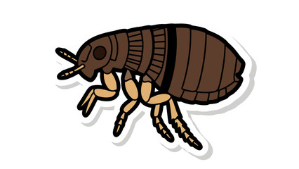 Illustration of a Flea Insect Close Up Side View Detailed Drawing Flat Vector Style on Black Background