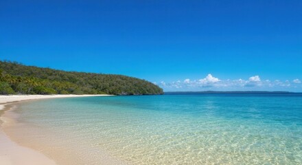 Fototapeta premium Pristine beach with clear water, lush trees under a bright blue sky