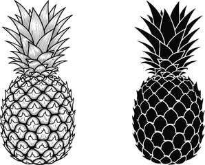Obraz premium Set of pineapple illustrations, vintage engraving sketch and black silhouette icon, tropical fruit design collection, isolated on white, cad drawing flat vector illustration.