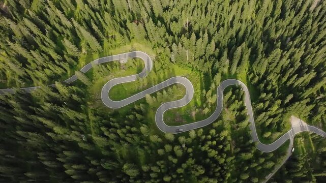 dolomites quick vehicle motion among green trees, speeding along forested route with vibrant greenery, dynamic camera angle capturing sports car racing through dense pine woods at high