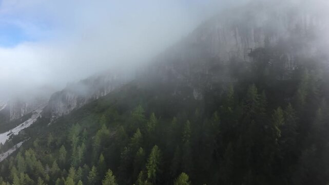 mist shrouded dolomites pine valley at dawn, low clouds rolling over cliffs and evergreen canopy; aerial drone survey, ranger patrol vantage, geologist fieldwork, solitary hiker pause, landscape
